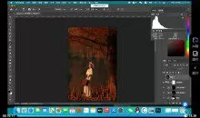 猫叔日记人像后期修图课