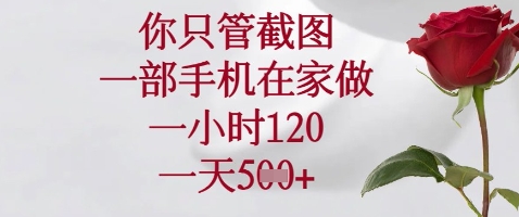 你只管截图,一部手机在家做,苹果安卓都可以,一小时120,一天5张+【揭秘】