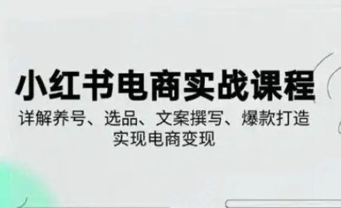 小红书从0-1实操课(2023-2025),详解养号、选品、文案撰写、爆款打造实现电商变现