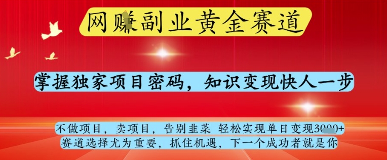网创副业黄全赛道,掌握独家项目密码,知识变现快人一步,告别韭菜轻松实现单日变现1k+【揭秘】