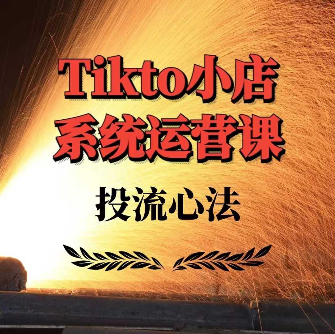 TikTok小店系统运营课:Allen-TK投流技法全攻略,包括广告命名 扩量手法及市场运营方法