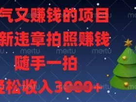 解气又挣钱的项目，最新违章拍照挣钱，随手一拍，轻松收入数张【揭秘】