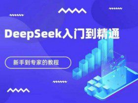 DeepSeek快速从入门到精通，新手的保姆级教程