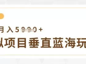 虚拟项目垂直玩法，实现单店月入5k+
