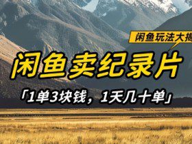 闲鱼卖纪录片1单3块钱，1天几十单，项目稳定有潜力