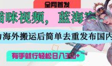 AI猫咪视频蓝海赛道，操作简单，直接海外搬运，简单去重，操作简单，有手就行日入3张