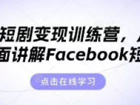 海外短剧变现训练营，从0-1全面讲解Facebook短剧