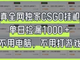 真全网独家CSGO挂G，单日捡漏1k+【揭秘】