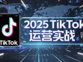 2025TikTok电商运营，掌握TikTok店铺运营核心技巧，实现低成本高转化