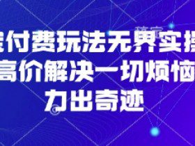 淘宝付费玩法无界实操课程，高价解决一切烦恼，大力出奇迹