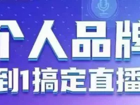 个人品牌：从0到1搞定直播实操，用直播为你的个人品牌赋能，六大实操板块，放大个人影响力