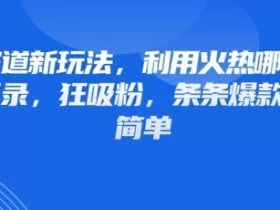 情感赛道新玩法，利用火热哪吒IP做情感语录，狂吸粉，条条爆款，操作简单