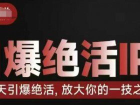 引爆绝活IP训练营，14天引爆绝活，放大你的一技之长
