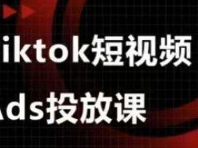 Ads视频投放课，tiktok短视频广告投放课