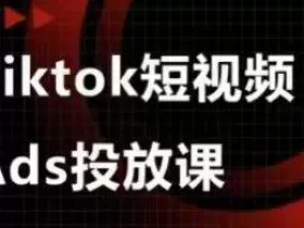 Ads视频投放课，tiktok短视频广告投放课