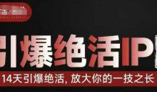 引爆绝活IP训练营14天引爆绝活，放大你的一技之长