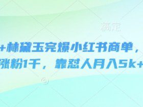 即梦+林黛玉完爆小红书商单，3天涨粉1千，靠怼人月入5k+