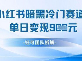 小红书冷门”暗黑”赛道，单日收益多张