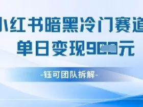 小红书冷门”暗黑”赛道，单日收益多张
