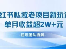 小红书私域项目新玩法，单月变现过W+