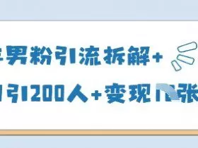 25年男粉引流拆解+单日引200人+变现多张