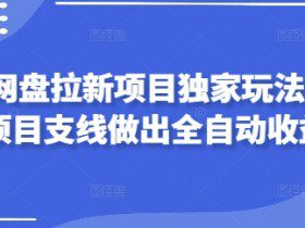 2025网盘拉新项目独家玩法，靠主项目支线做出全自动收益