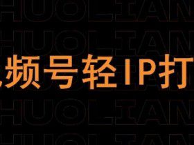 视频号线上课程，视频号轻IP打造