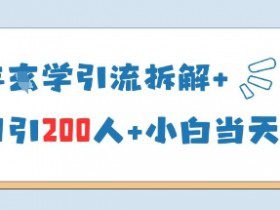 25年国学引流拆解+单日引200人+小白当天就能变现