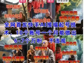 全网首发快手AI接福起号涨粉技术，10个账号一个月能做出6-7个万粉，不违规