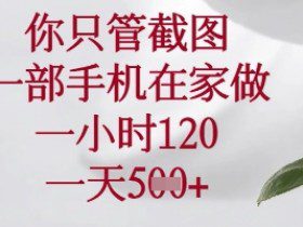 你只管截图，一部手机在家做，苹果安卓都可以，一小时120，一天5张+【揭秘】