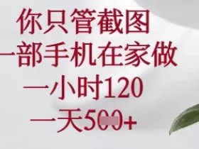 你只管截图，一部手机在家做，苹果安卓都可以，一小时120，一天5张+【揭秘】
