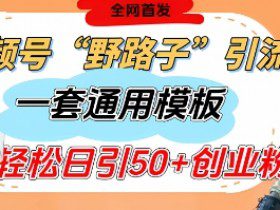视频号“野路子”玩法，评论区疯狂截流，一套模板单日单号引流50+创业粉