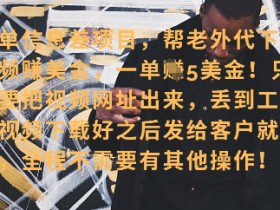 零门槛挣美金，海外视频代下服务，单笔收益40+，小白也能轻松上手