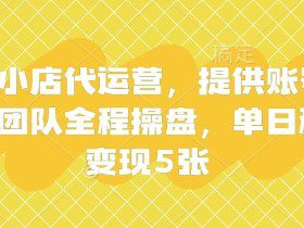 快手小店代运营，提供账号即可，团队全程操盘，单日稳定变现5张【揭秘】
