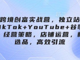 跨境创富实战营，独立站+TikTok+YouTube+谷歌广告，经营策略，店铺运营，精准选品，高效引流