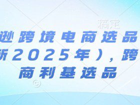 亚马逊跨境电商选品案例(更新2025年4月)，跨境电商利基选品