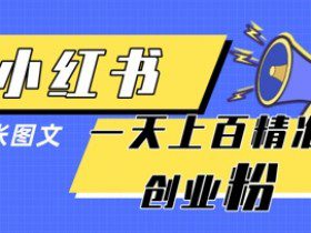 小红书模版一张图片一天轻松引流上百创业粉