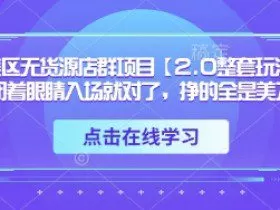 TK美区无货源店群项目【2.0整套玩法】，闭着眼睛入场就对了，挣的全是美刀