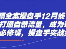 短视频全案操盘手12月线下课，如何打通自然流量，成为现象级IP必修课，操盘手实战经验