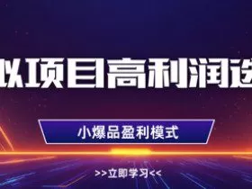 虚拟项目高利润选品方法，做好单店利润1W+，可多店倍增利润