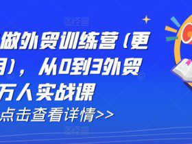 AI闪电做外贸训练营(更新25年4月)，从0到3外贸万人实战课