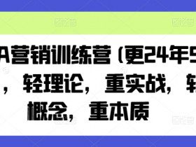 老A营销训练营(更25年4月)，轻理论，重实战，轻概念，重本质
