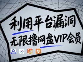 利用平台漏洞，无限撸网盘VIP会员，用户亲测有效!【漏洞原理+操作演示】