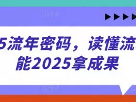 2025流年密码，读懂流年赋能2025拿成果