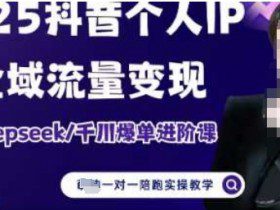 2025个人IP短视频带货(进阶版)全域流量变现，deepseek千川爆单进阶课