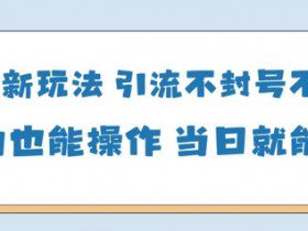 国学新玩法，引流不封号不违规小白也能操作，当日就能变现