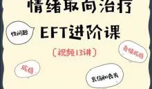 EFT夫妻咨询进阶核心13讲 价值1300元