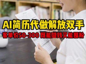 AI简历代做解放双手，客单价50-300不等，既能挣钱又能囤粉