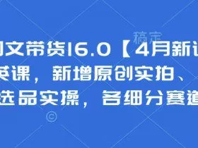 抖音图文带货16.0【4月新课】基础+精英课，新增原创实拍、视频混剪、选品实操，各细分赛道实操