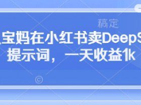 全职宝妈在小红书卖DeepSeek提示词，一天收益1k